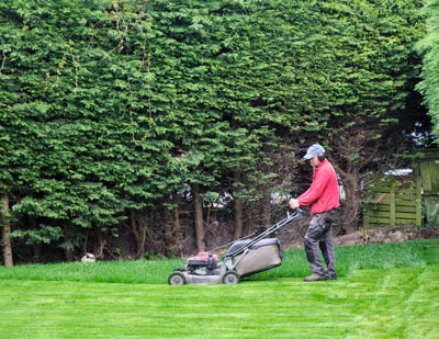 Entretien des Espaces Verts